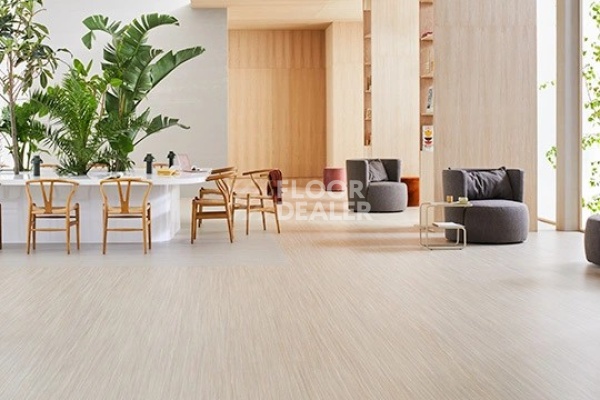 Линолеум Marmoleum Striato 5253 bleached gold фото 1 | FLOORDEALER